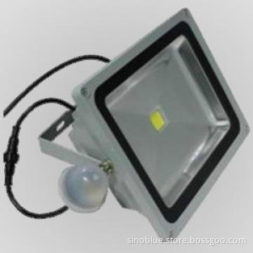 10w meanwell drvier rgb led flood light